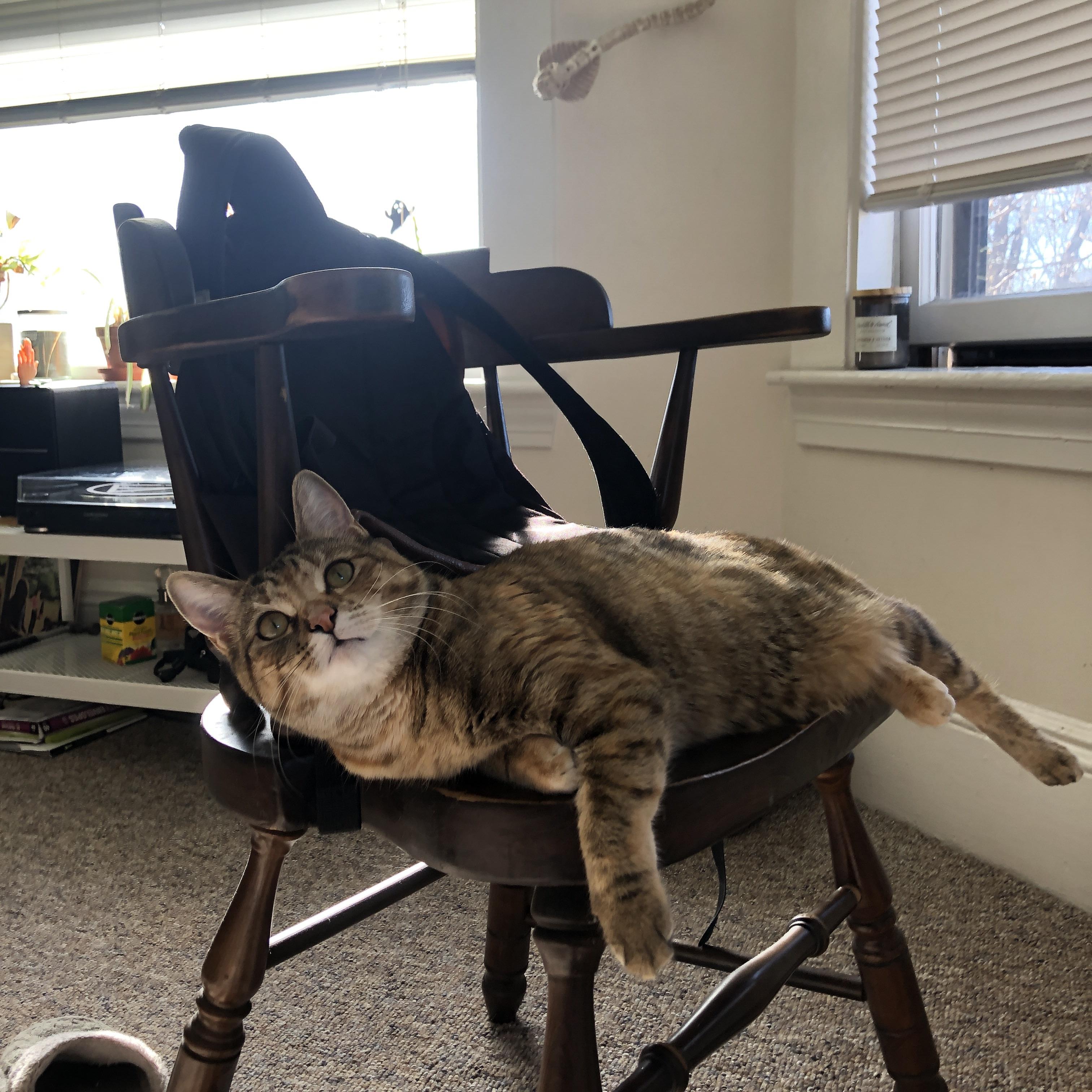 开云下载-从软肋到枢纽，迪亚斯如何用一记断球开启三冠王朝？